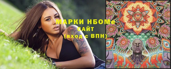 мет Няндома