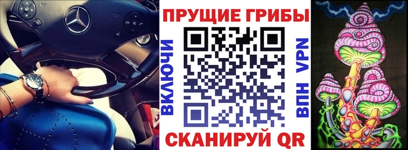 Галлюциногенные грибы Cubensis  Севск 